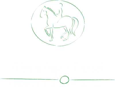 Logo_Luhetal_weissgruen